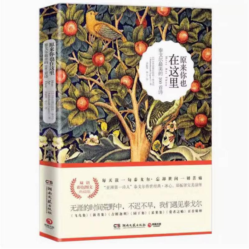 二手原来你也在这里 [印度]拉宾德拉纳特·泰戈尔 湖南文艺出版社