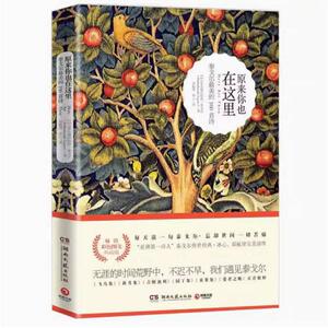 二手原来你也在这里 [印度]拉宾德拉纳特·泰戈尔 湖南文艺出版社