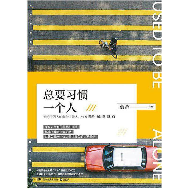 二手总要习惯一个人 蕊希 湖南文艺出版社