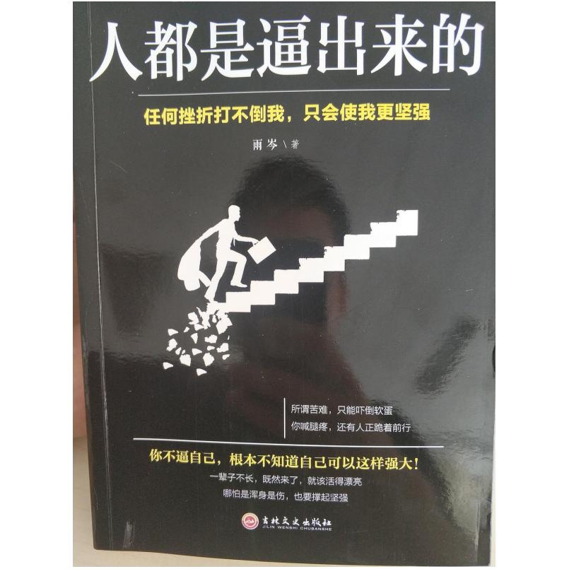 二手人都是逼出来的 雨岑 吉林文史出版社