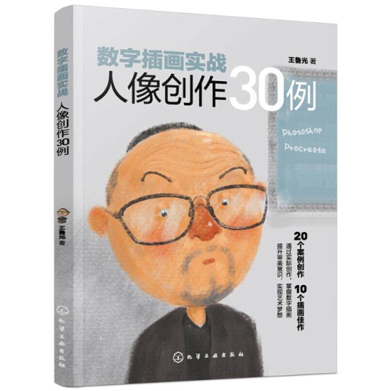 二手数字插画实战人像创作30例 王鲁光 化学工业出版社