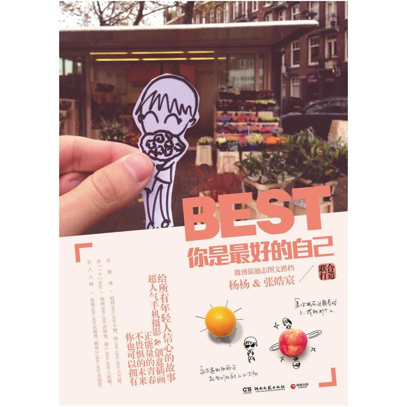 二手你是最好的自己 杨杨/张皓宸 湖南文艺出版社