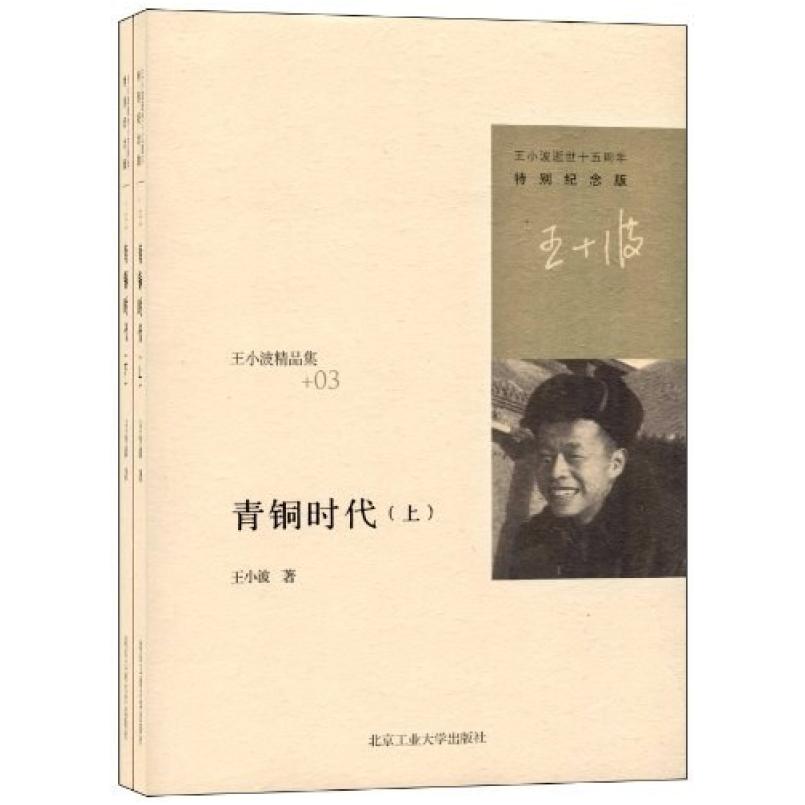二手青铜时代(上下册) 王小波 北京工业大学出版社