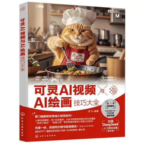 二手可灵AI视频与AI绘画技巧大全 龙飞 化学工业出版社