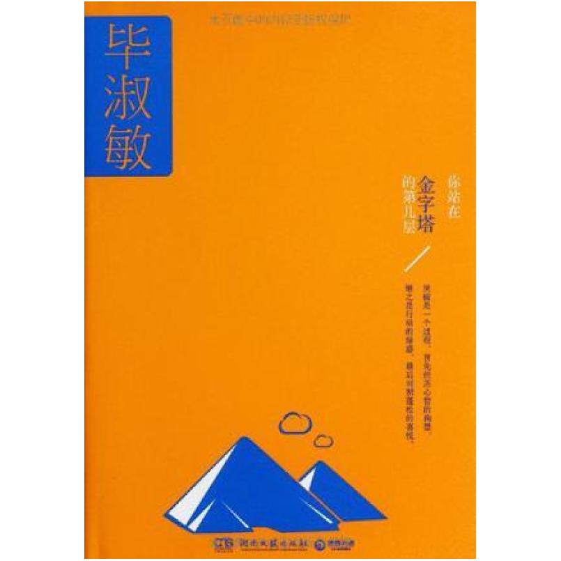 二手你站在金字塔的第几层 毕淑敏 湖南文艺出版社