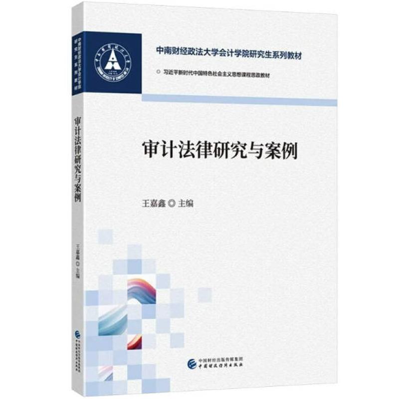 二手审计法律研究与案例 王嘉鑫 中国财政经济出版社