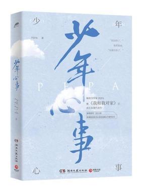 二手少年心事 PEPA 湖南文艺出版社