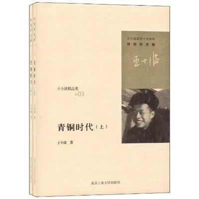 二手青铜时代(上下册) 王小波 北京工业大学出版社