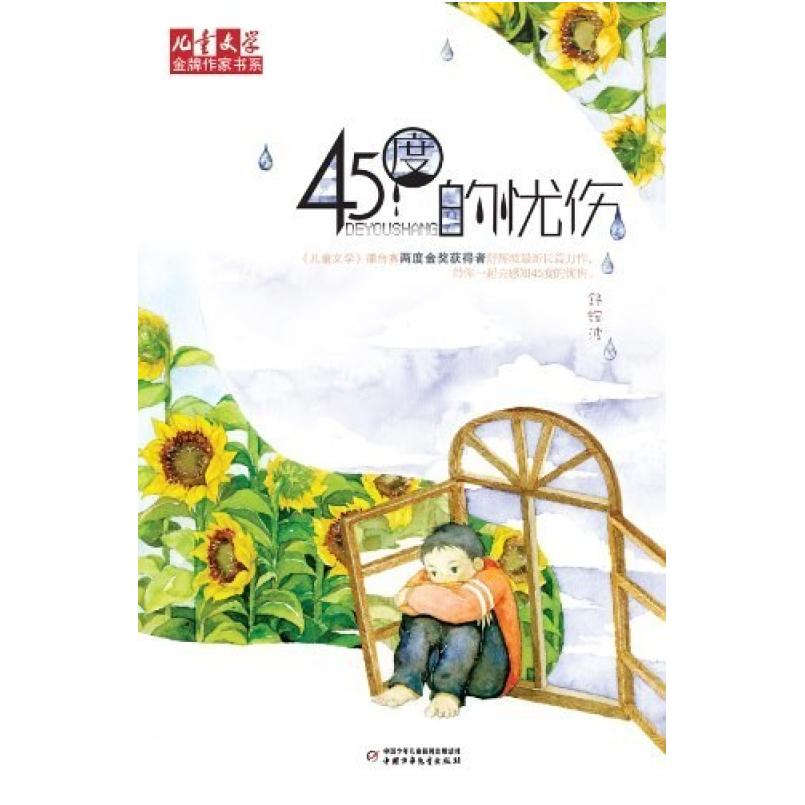 二手45度的忧伤 舒辉波 中国少年儿童出版社