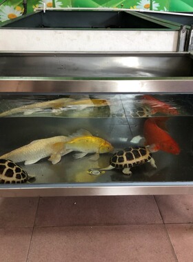 304不锈钢加过滤器鱼缸 客厅用100x50x40cm金鱼缸