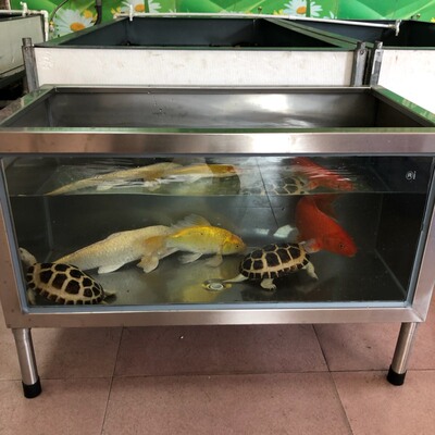 304不锈钢加过滤器鱼缸 客厅用100x50x40cm金鱼缸
