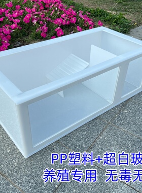 PP塑料生蛋池养殖箱乌龟别墅龟池龟箱家用龟盆乌龟缸带爬梯定制