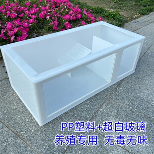 PP塑料生蛋池养殖箱乌龟别墅龟池龟箱家用龟盆乌龟缸带爬梯定制
