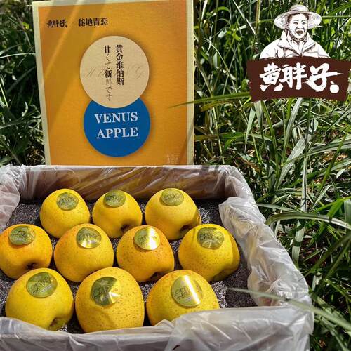 胖子苹果黄金维纳斯雀斑富士