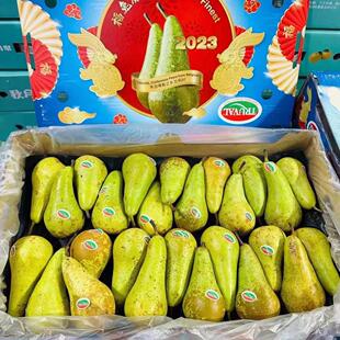 比利时啤梨青都乐新鲜水果礼盒16-26果8斤包邮多省坏果包赔truval