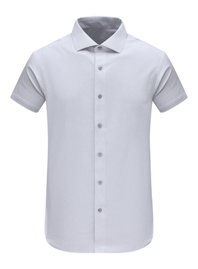 F3752恺夏季男式短袖衬衫 棉百搭商务休闲上衣免烫 浅灰色