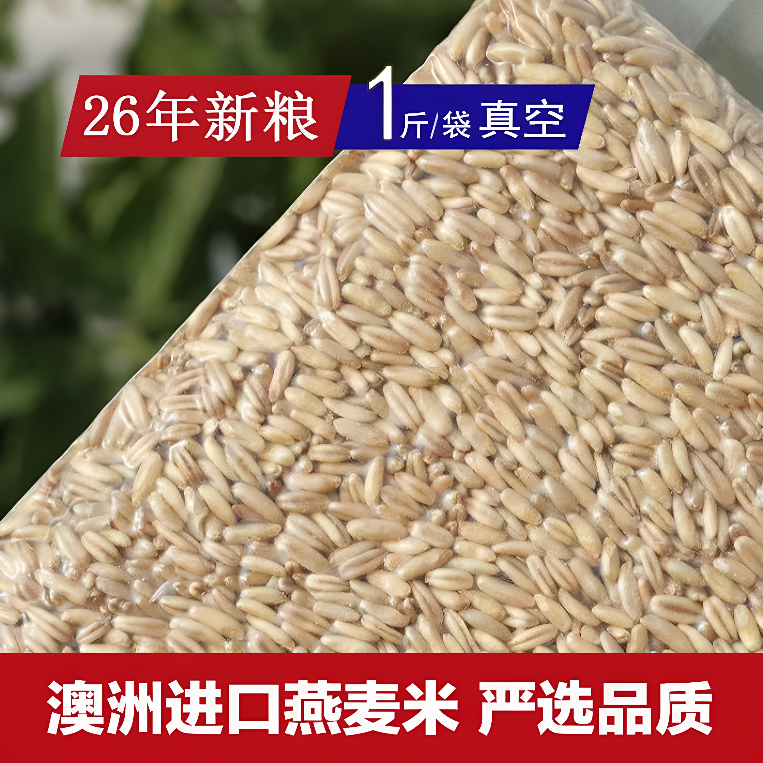 东北龚记鸟食 澳洲进口燕麦米雀麦去皮燕麦虎皮牡丹玄凤鹦鹉鸟食