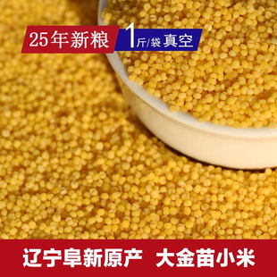 辽宁A级大金苗黄小米 脱壳黄谷子 25年新粮断奶蛋米材料真空分装