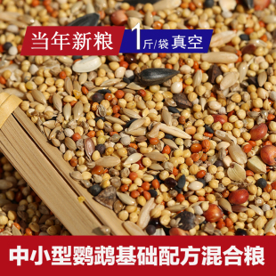 中小型鹦鹉基础配方混合粮牡丹玄凤鹦鹉24年种子鸟粮营养饲料500g