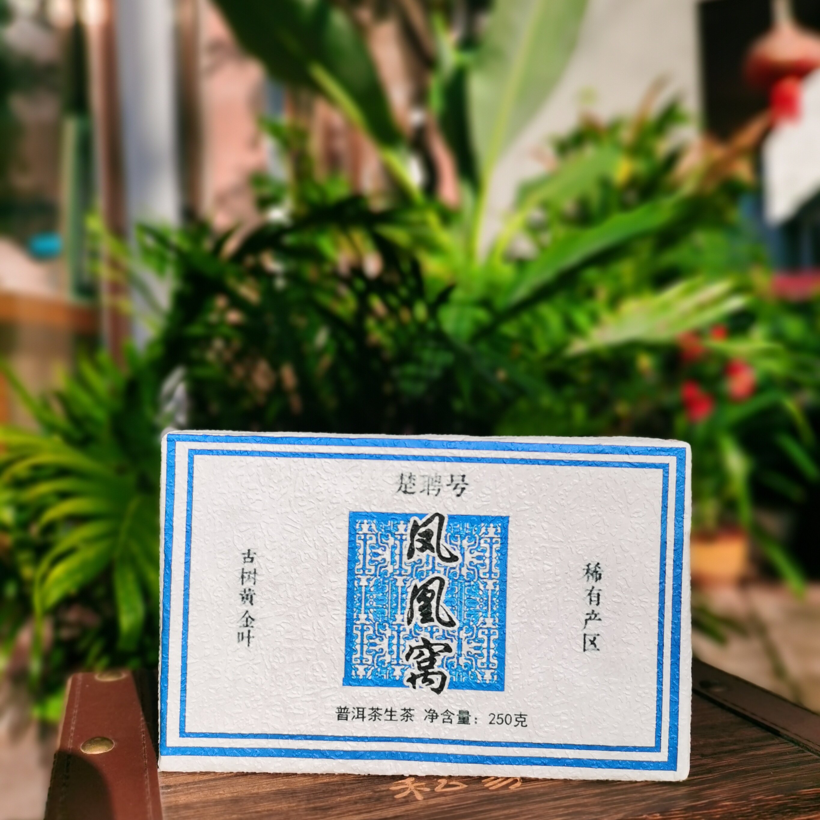 2026西双版纳州古六山易武凤普洱