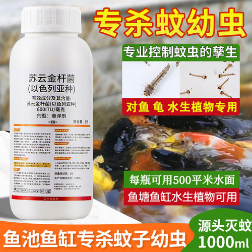 大面积杀蚊子幼虫孑孓鱼池