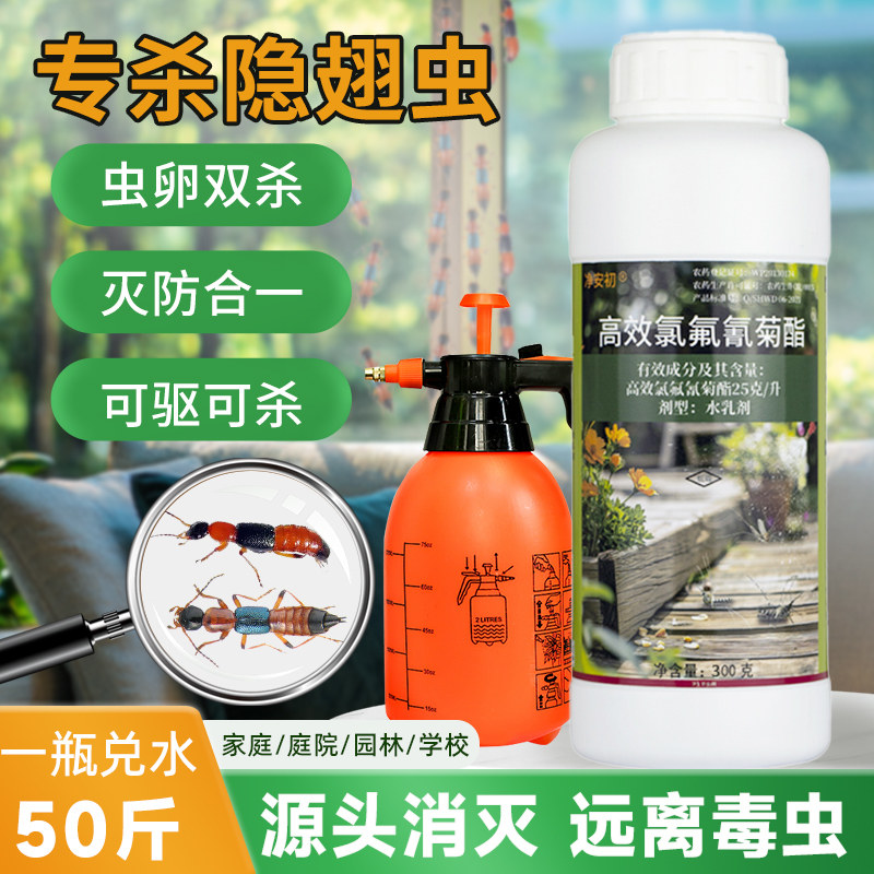 隐翅虫杀虫剂家用室内床上防药除灭影翅虫隐形虫药水喷剂非无毒