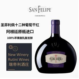 阿根廷RUTINI SAN FELIPE 瑞帝利圣菲利佩12种葡萄干红葡萄酒
