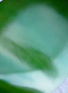 日本进口 水染高级马臀皮 CORDOVAN 多脂 小川马臀皮 春绿色 浅绿