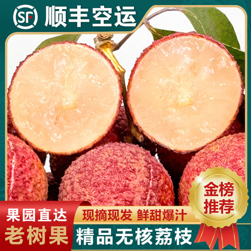 无核荔枝礼盒5斤顺丰空运水果