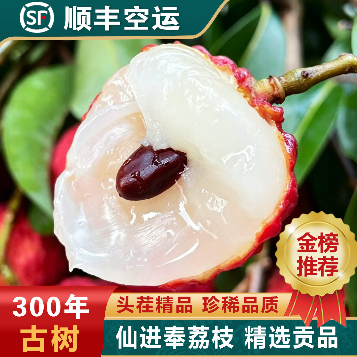 广东茂名仙进奉荔枝新鲜现摘现发糯米挂糍绿桂当季味观音顺丰5斤