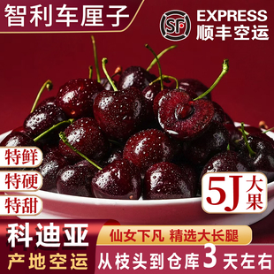 5j智利车厘子进口科迪亚新鲜水果大黑樱桃桑礼盒提娜原箱4j空运6j