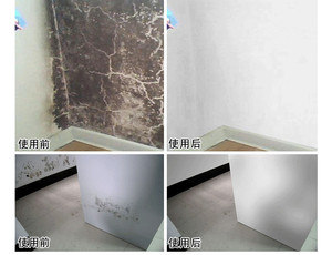 清丽馨墙体除霉剂墙面除霉斑防霉  去墙壁墙面清洁霉菌清除剂包邮