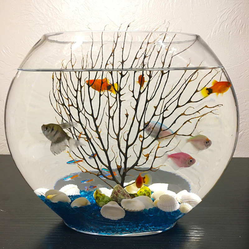 水晶扁口金鱼缸摆件花瓶