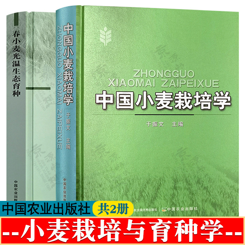 中国小麦栽培学 于振文+春小麦光温生态育种 肖志敏 中国农业出版社 春小麦光温生态育种技术方法 小麦高产栽培创新技术书籍