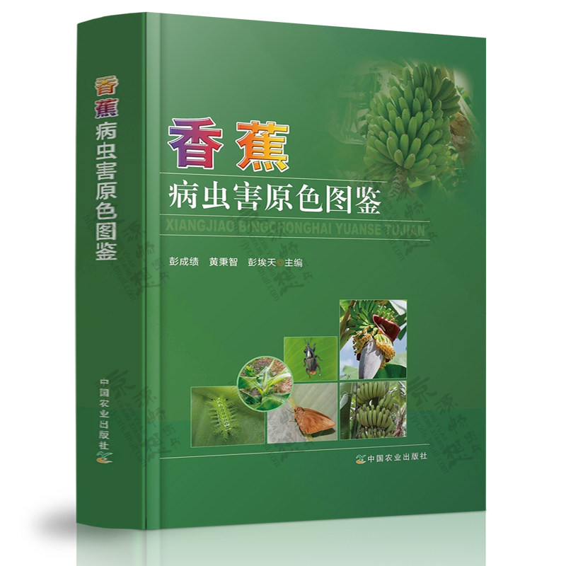 香蕉病虫害原色图鉴 彭成绩 中国农业出版社 香蕉病害症状规律 香蕉害虫害症状防控技术措施 香蕉种植病虫害防治技术手册书籍