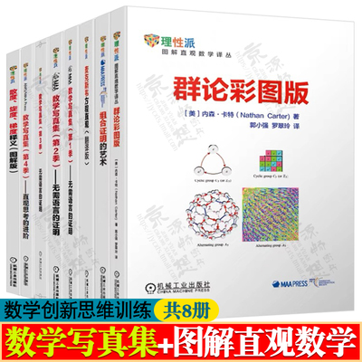 数学写真集全4季 无需语言证明 直观思考进阶 图解直观数学译丛 群论彩图版 组合证明艺术 麦克斯韦方程直观 数学创新思维训练书籍