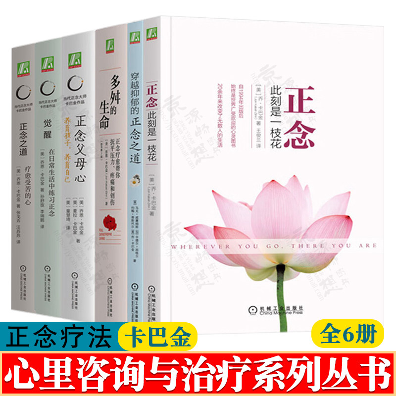 卡巴金正念之道 穿越抑郁 正念此刻是一枝花 多舛的生命 正念疗愈帮你抚平压力疼痛创伤 正念减压疗法身心疗愈 心里咨询与治疗书籍