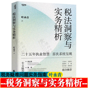税法洞察与实务精析 叶永青 中国财政经济出版社 税法原理深度解读 企业重组税制疑难解析税务律师纳税企业税务疑难问题实务指南