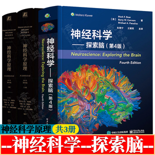 神经科学探索脑 第四版+神经科学原理 第六版 英文版 神经科学基础 觉和运动系统 脑和行为 神经生物学 脑科学 神经科学教材书籍