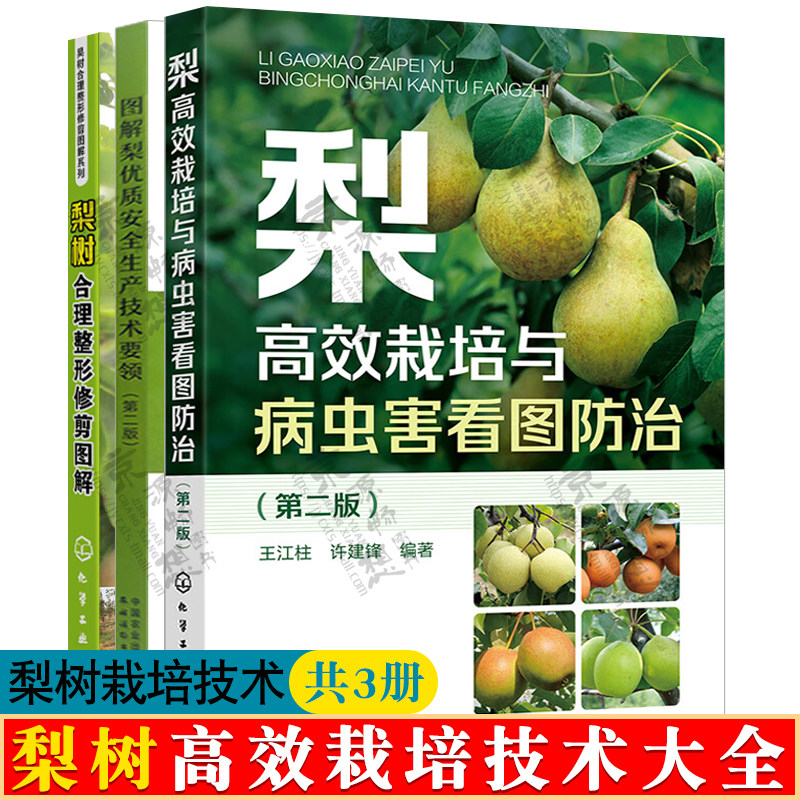 梨高效栽培与病虫害看图防治+图解梨优质安全生产技术+梨树合理整形修剪图解 土肥水管理 整形修剪 病虫害防控 梨树栽培技术书籍