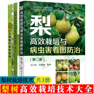 梨高效栽培与病虫害看图防治+图解梨优质安全生产技术+梨树合理整形修剪图解 土肥水管理 整形修剪 病虫害防控 梨树栽培技术书籍