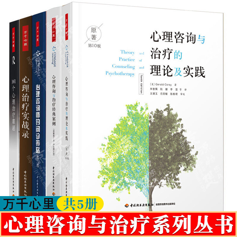 心理咨询治疗实践经典案例