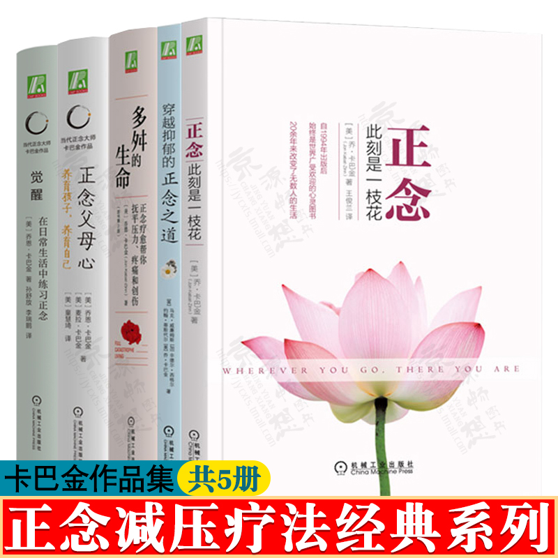 穿越抑郁正念之道 正念此刻是一枝花 多舛的生命 正念疗愈帮你抚平压力疼痛创伤 卡巴金正念减压疗法 身心疗愈 心里咨询与治疗书籍