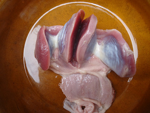 【新鲜生鹅肾】新鲜现卖马岗鹅黑鬃鹅鹅肫鹅珍鹅肾鹅掌2斤超鲜