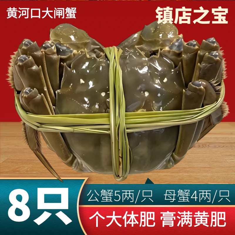 黄河口大闸蟹5两公4两母礼盒鲜活蟹特大闸蟹8只源头直达
