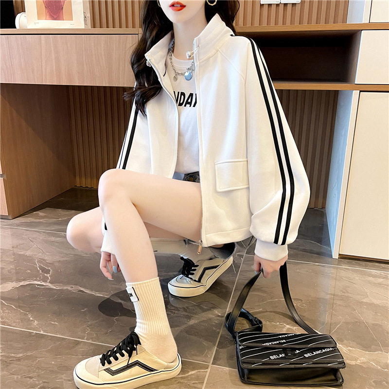 春秋薄款立领拉链开衫卫衣女