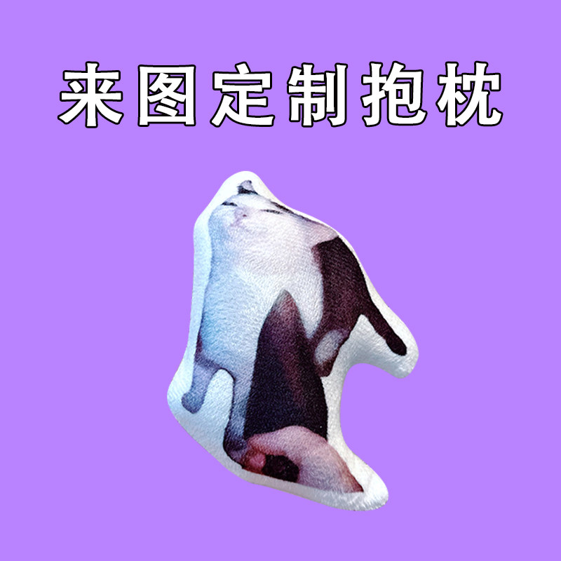 抽象玩偶区区一把刀就想伤害我小猫表情搞笑动物周边公仔定制抱枕