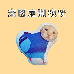 疯狂的哈基米公仔鬼畜抽象鸽子毛绒玩偶耄耋猫咪创意抱枕来图定制