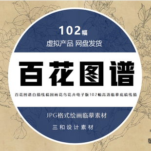 百花图谱白描线稿国画花鸟花卉 高清线描电子版临摹底稿