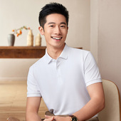 保罗polo衫 t恤夏上衣服商务翻领 基础款 男士 短袖